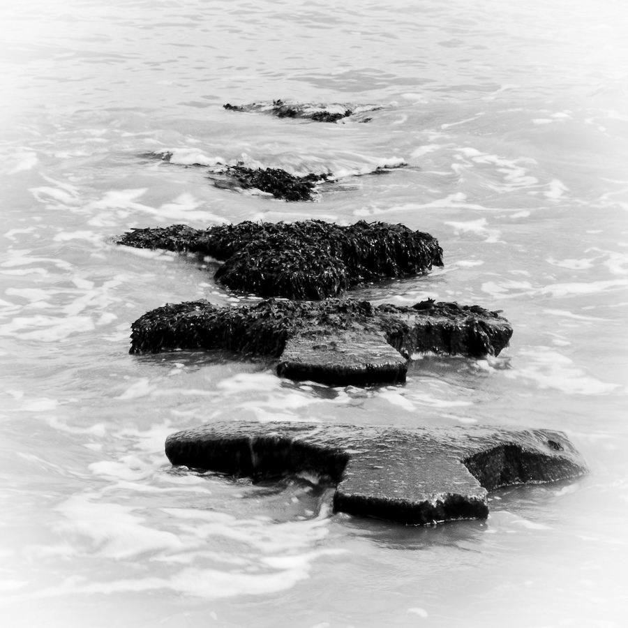 Cobbolds Point Rising Tide - Pat Ainger
